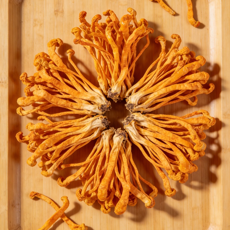High-quality Dry Cordyceps Flo - Baby Products Soap ulasan dan harga