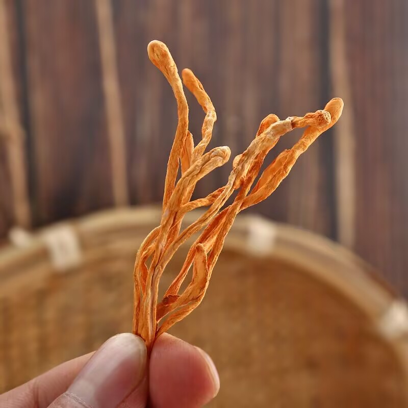 High-quality Dry Cordyceps Flo - Baby Products Soap ulasan dan harga