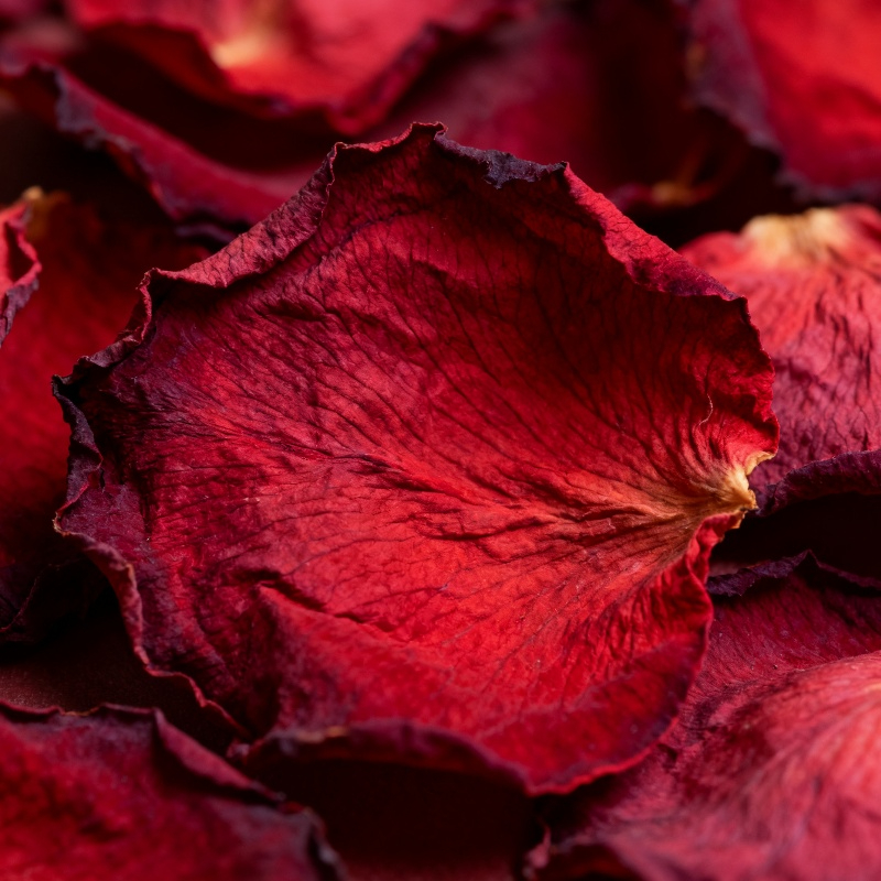 Natural Bulk Rose Peony Dried  - Baby Products Soap ulasan dan harga